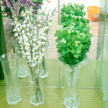 花與家的雙重饋贈 盱眙梅源花坊的產品美學與生活意趣